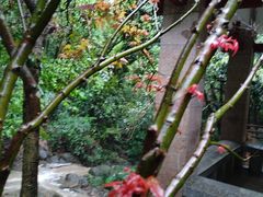 -火炉山森林公园
