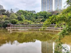 -龙头寺公园