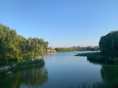 -大兴滨河森林公园