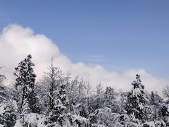 -瓦屋山景区