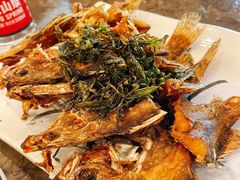 -九华山聚龙大酒店