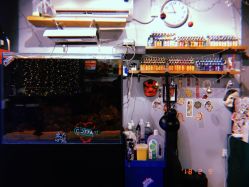 店内环境-MDZ STORE·TATTOO·耳饰