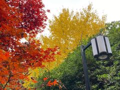 -岳麓山风景名胜区