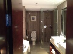 环球恐龙城维景国际大酒店-常州环球恐龙城维景国际大酒店