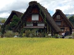 -白川乡与五箇山的合掌构造村落