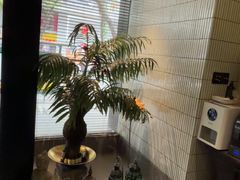 -涟LIAN·泰式按摩·MASSAGE·SPA(华强北店)