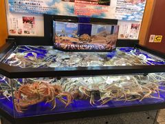 -蟹道乐(道顿堀本店)