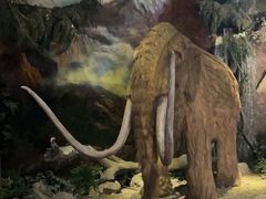 -抚顺煤矿博物馆