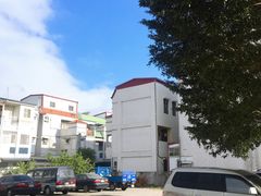 -关山稻田造景