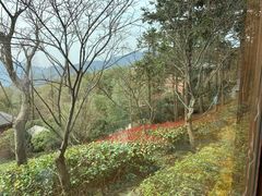 -江南天池高山汤泉城