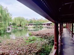 -月湖公园