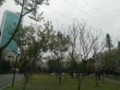 -西北湖绿化广场