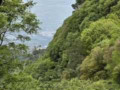 -少华山国家森林公园