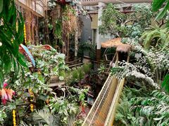 -正佳雨林生态植物园