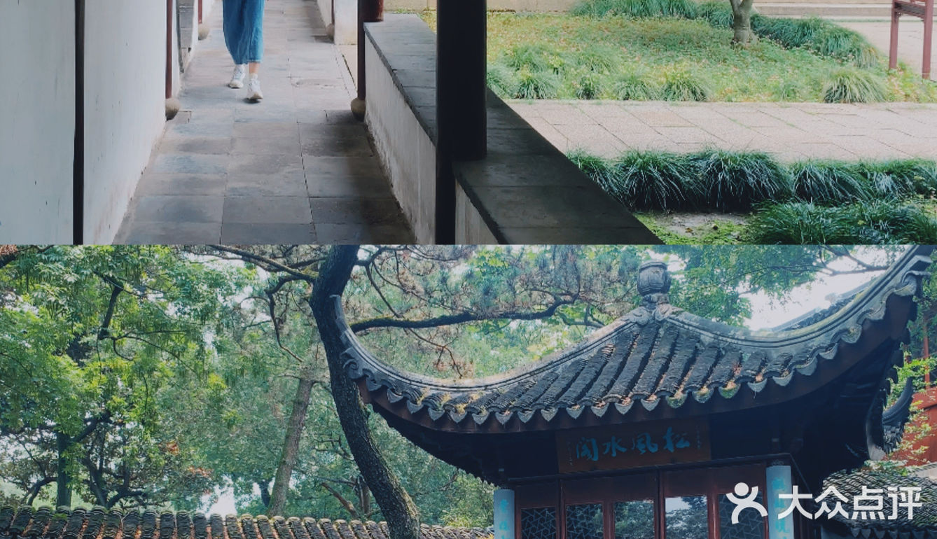 苏州旅游/园林经典拙政园🍃应该这样游～