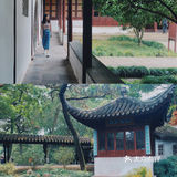 苏州旅游/园林经典拙政园🍃应该这样游～