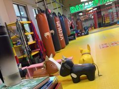 -大焱搏击·泰拳·拳击俱乐部(大柏树店)