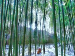 -竹泉村旅游度假区