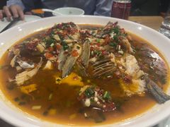 千岛湖野生有机鱼-丰乐餐厅·始于1999·本地老字号