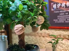 -云来居素食馆(南山店)