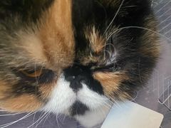 -酷宠动物医院(天通西苑店)