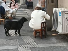 -东水关遗址公园
