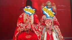 点击看大图 -重庆三毛摄影