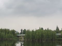 -白鹭湾湿地公园