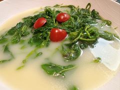 浓汤桑叶-广东道至正餐厅(区庄店)