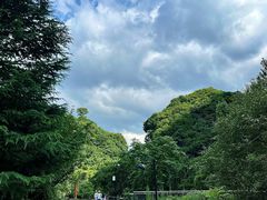 -少华山国家森林公园