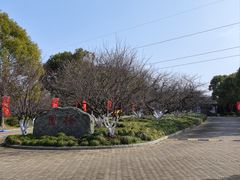 -上海海湾国家森林公园