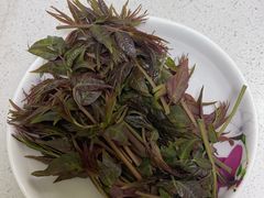 -昌平兴寿秀秀草莓采摘园