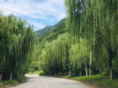 -西安市长乐公园
