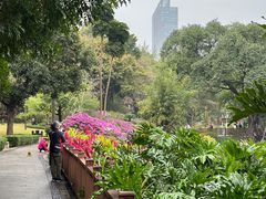 -晓港公园