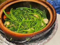 虾酱嗜通心菜-煲煲好(朝阳门店)
