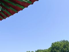 -青龙山国家森林公园