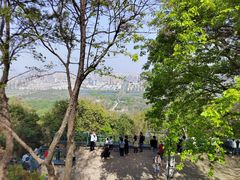 -大蜀山国家森林公园