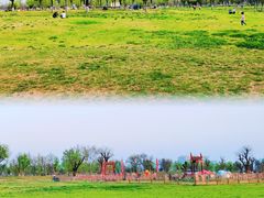 -汉长安城未央宫国家考古遗址公园