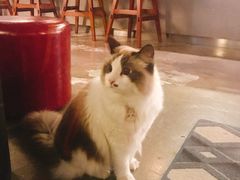 -咖法森林·咖啡  酒吧(天河店)