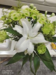 -HEYAN长风荷妍专业脱毛美肤
