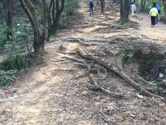 -梧桐山风景名胜区