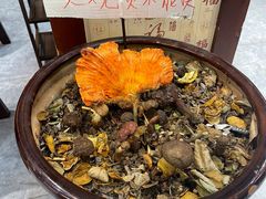 -菌之家·专业纯野生菌火锅·特色炒菌