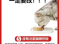 -艾吉宠物医院·疑难杂症转诊中心·猫友好(碧江路院)