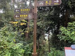 -三门江国家森林公园