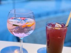 后花园金汤力-新元素(蓝色港湾店)