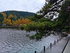 -庐山风景区花径公园