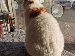 -平行世界·猫咖(首经贸店)