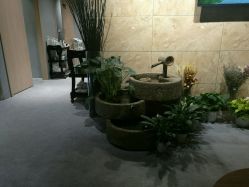 -三只熊皮肤管理中心