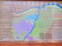 -汤旺河林海奇石景区