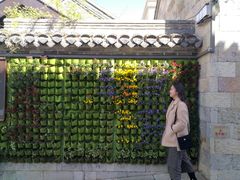 -回龙窝历史文化街区